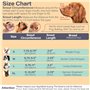 Muselières pour Chiens Réfléchissante