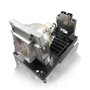 Supermait NP22LP 60003223 A+ Qualité Lampe ampoule de projecteur de remplacement avec boîtier Compatible avec NEC NP-PX750U PH10