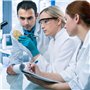 10 pièces Lunettes de protection de travail,Lunettes de sécurité,Lunettes de sécurité de travail,Lunettes de protection anti-pou