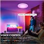 30W Changement de Couleur RGB Luminaire Plafonnier