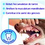 Drawer Props Pets - Friandises et Os à Mâcher pour Chien et Chiot, Mastication, Nourriture - 530 g