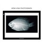 GAOMON GB4 Taille LED Tablette Lumineuse 5 MM Ultramince Tablette Dessin Lumineuse Pad USB Art Dessin pour l’Esquisse et Copie (