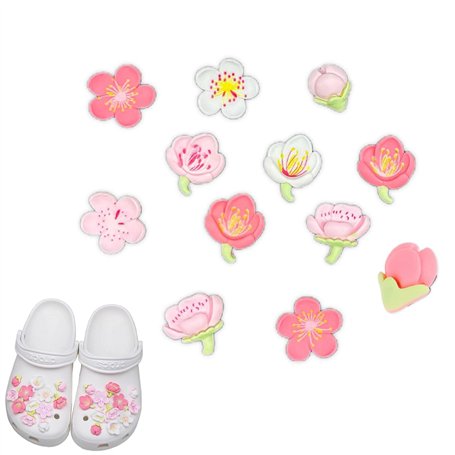Charmes de Chaussure