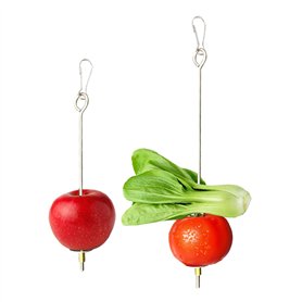 2 Pièces Brochette Nourriture Perroquet en Acier