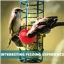 pour Cages Oiseau