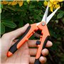 2 Pièces Ciseaux Bonsai,Secateur de Jardinage Branches Feuilles Jardin et Sécateur à Sécateurs Coupe Kit les Couture Branche Fil