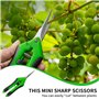 2 Pièces Ciseaux Bonsai,Secateur de Jardinage Branches Feuilles Jardin et Sécateur à Sécateurs Coupe Kit les Couture Branche Fil
