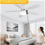 Ventilateur