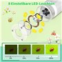 8 Lumières LED