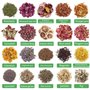 Xbessc 20 Pack Fleurs Séchées Fleur Sechee Naturelles pour Bougies Fleur Sechees Decoration Rose Jasmin Lavande Oeillet Magnolia