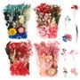 4 Boîtes Fleur Seche