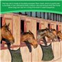 Lot de 2 Filet À Foin, Filet a Foin Chevaux, Filet a Foin pour Chevaux Maille 3 x 3 cm, Sac à Foin Cheval, Filet à Foin Portable