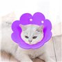 6 Stück Collerettes pour Chat,Liwein Collerettes Anti-Morsure Protection Collier Collier de Récupération pour Animaux de Compagn