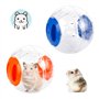 Boule d'exercice de Hamster 2 Pcs Balle de Hamster 2 Couleur Ballon de Jouet de Gerbille Plastique Petit Balle Portatif pour Cou