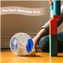 Boule d'exercice de Hamster 2 Pcs Balle de Hamster 2 Couleur Ballon de Jouet de Gerbille Plastique Petit Balle Portatif pour Cou