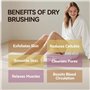 Ithyes Brosse pour le corps La brosse exfoliante La brosse de bain à poils naturels pour éliminer les toxines cellulites de la p