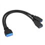 SIENOC Noir 20 broches femelle vers Dual USB 3.0 Type A buchsey Câble adaptateur plomb