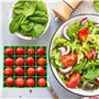 Coupe Tomate, 16 Grilles Coupe Fruits, Outil de Trancheuse de Fruits Fraise/Tomate/Raisin pour Salade et Décoration de Gâteau, G