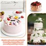 Supports À Gâteaux Cake Board Ronds 20/25/30Cm