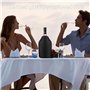 2 Pcs Rafraîchisseurs pour Bouteilles de Vin