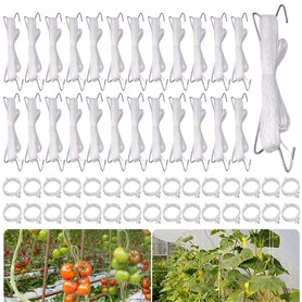 25 avec Cordes Clips pour Plantes