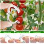 25 avec Cordes Clips pour Plantes, Attache Tomate Comprend 30 Pinces à Plantes et 10 Mètres de Corde pour Suspendre Tomates et C