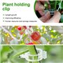 25 avec Cordes Clips pour Plantes, Attache Tomate Comprend 30 Pinces à Plantes et 10 Mètres de Corde pour Suspendre Tomates et C