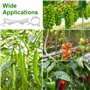 25 avec Cordes Clips pour Plantes, Attache Tomate Comprend 30 Pinces à Plantes et 10 Mètres de Corde pour Suspendre Tomates et C
