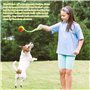 WANDGU Lot de 6 balles de tennis : balles de tennis pour chien & entraînement avancé en polyester avec sac en filet pour l'agili