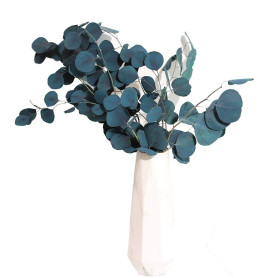 Merkts Fleurs séchées d'eucalyptus
