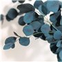 fleurs séchées