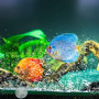 LAMXD Lot de 5 barres de pierre à air 12 cm 10,7 cm pour pompe d'aquarium Vert/bleu