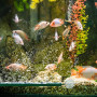LAMXD Lot de 5 barres de pierre à air 12 cm 10,7 cm pour pompe d'aquarium Vert/bleu