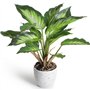 YunYite Plantes artificielles