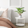 YunYite Plantes artificielles,36cm Dieffenbachia Picta Mini Plantes en Pot d'intérieur Lance Verte Artificielle, pour décoration