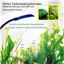 GERUI Lot de 2 pinces noires pour aquarium - 7 W - Mini éclairage LED - Haute luminosité - Clip transparent - Lumière blanche - 