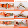 Sangle Cliquet