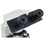 3MP et scène mécanique Double Couche Compatible avec W