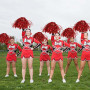 Wxinsheng 8 PCS Pompons Cheerleader,Pompons de Pom-Pom Girl avec Poignée Multicolores Pompons de Pom-Pom de Couleur avec Poignée