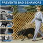 Omnikryp 2 Pièces Muselière pour Chien, Muselière en Nylon Réglable pour Chiens Anti Aboiement Anti Morsure, Respirante, pour Pe