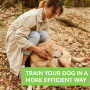 Omnikryp 2 Pièces Sifflet à Ultrasons pour Chien, Sifflet Chien Rappel Professionnel, Rappel avec Lanière, Aides à la Formation 