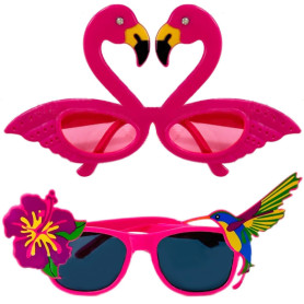 Pack De 2 Lunettes Habillées