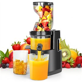Gaethra Extracteur de Jus 550W