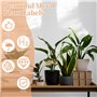 Lot de 22 étiquettes de plantes en cuivre de 25,5 cm de haut - Marqueurs de jardin - Étiquettes pour plantes d'extérieur pour lé
