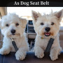 Ceinture de sécurité pour voiture - Harnais de sécurité pour chien - Avec 1 gamelle pliable noire pour animaux de compagnie - Ha