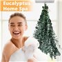 Naturel Fleurs Séchées Tiges D'Eucalyptus Véritable et Conservées de 43cm