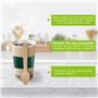 Dazkzooy Cuillères en Bois Jetables, Lot de 100 - Cuillères Écologiques Biodégradables, Idéales pour Fêtes et Événements, Petite