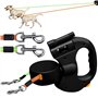 BORDEAG Laisse Double Rétractable pour Chien avec Lumière