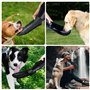 Gourde pour chien - 750 ml - En acier inoxydable - Pliable à 180° - Portable - Pour la marche, le camping, les parcs - Noir