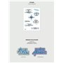 ENHYPEN ROMANCE : UNTOLD - DAYDREAM 2nd Repackage Album (WHITE MIDNIGHT Ver. + Gift Card) K-POP SEALED